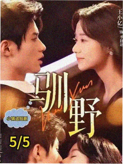 白色迷城 悬疑医疗剧